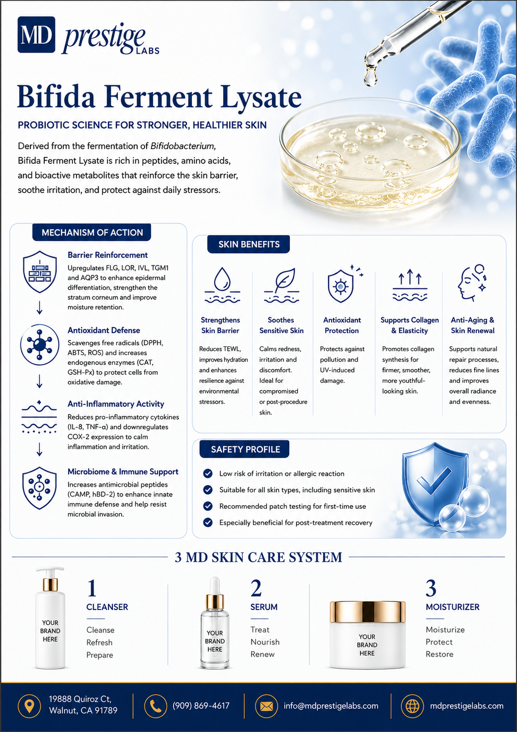 Bifida Ferment ingredient flyer
