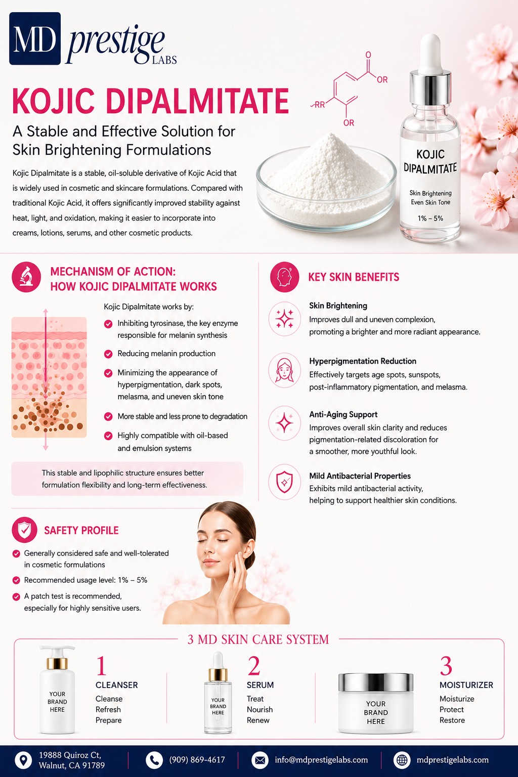 Kojic Dipalmitate ingredient flyer