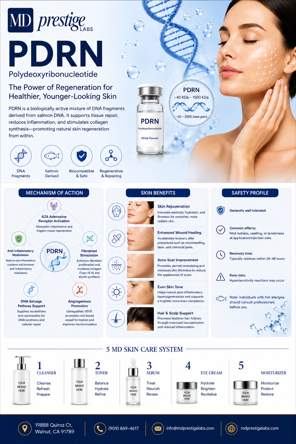 PDRN ingredient flyer